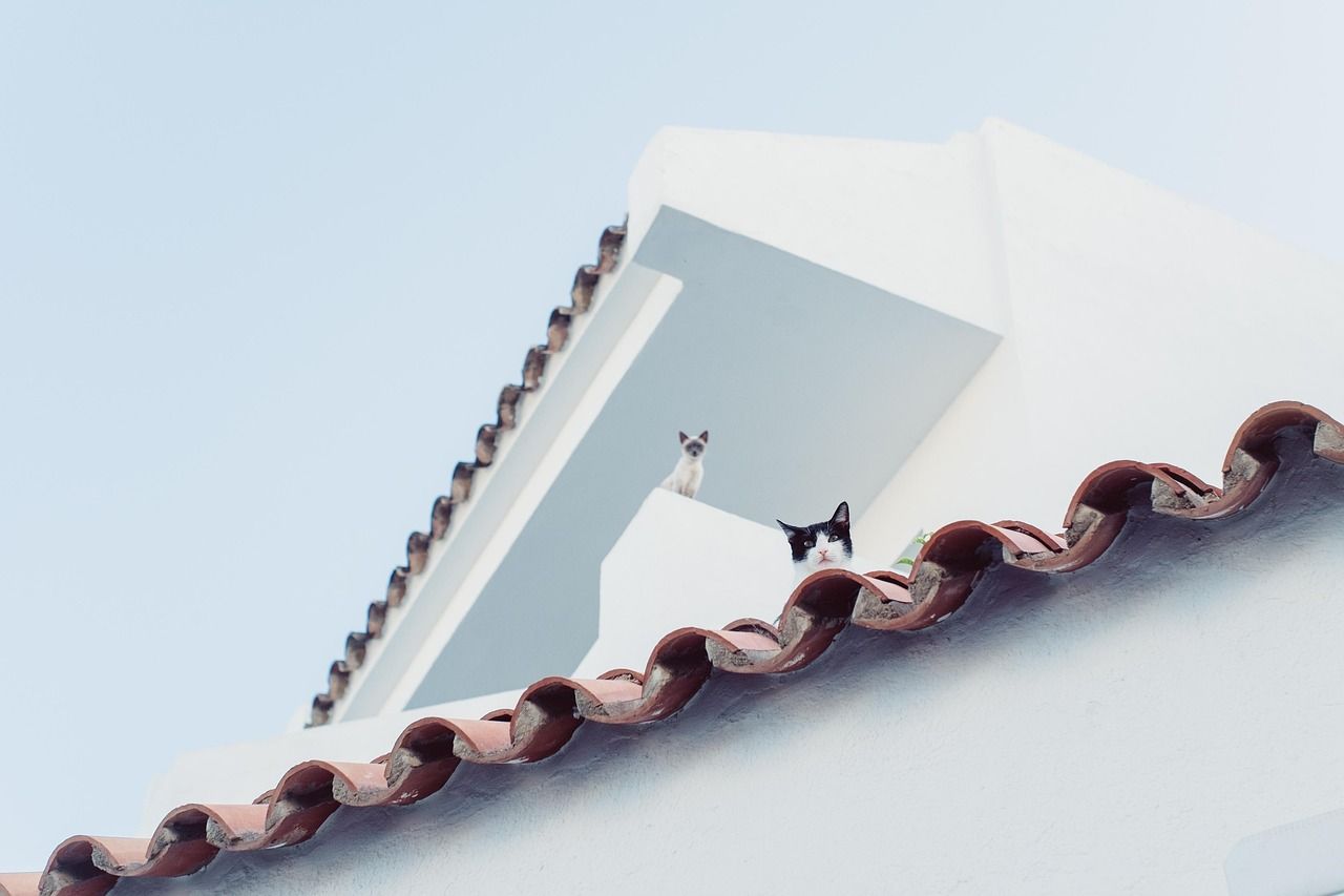 découvrez les signes indiquant qu'il est temps de remplacer votre toit. guide complet pour détecter les problèmes de toiture et assurer la protection de votre maison.