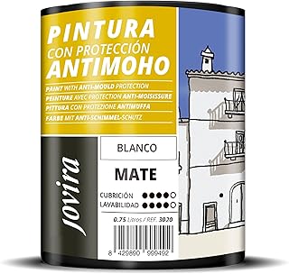 Choisir la bonne peinture pour un mur extérieur résistant au temps JOVIRA PINTURAS Peinture Anti-Moisissures, prévien