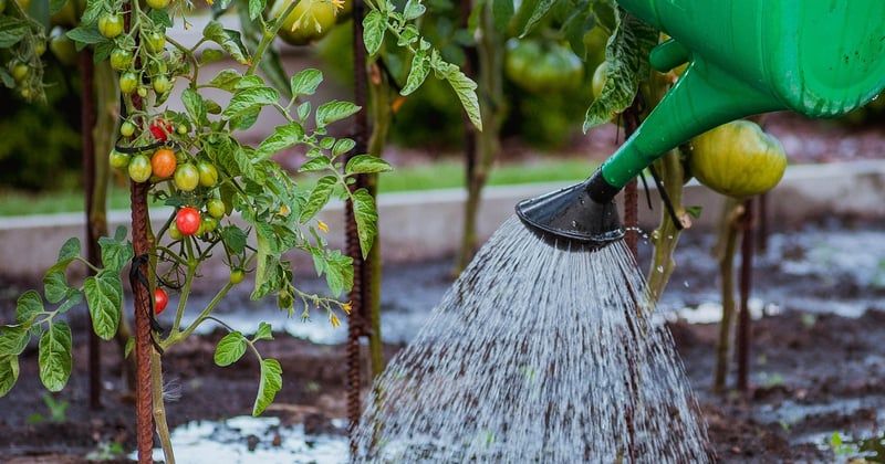 10 techniques innovantes pour jardin qui vont révolutionner vos cultures