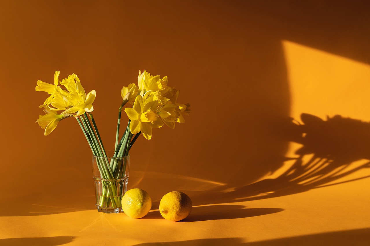 Les tendances déco 2023 pour une maison à l’esprit naturel et chaleureux