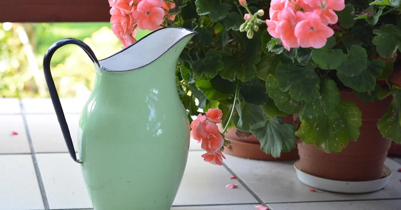 Arrosage, drainage et nuisibles : les trois sujets dont personne ne parle