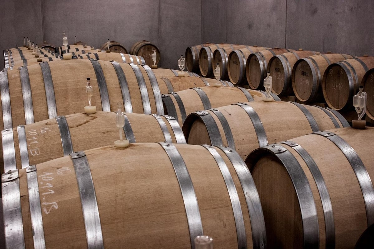Prix cave à vin sur mesure sous escalier : guide complet 2026
