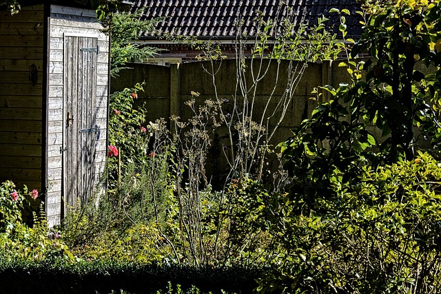 g450b8e091bc593da2838b9f7aeb86642fcaea1383854bffbc0ccda0d7bcdcf6fab1884dd052398c91f041e285e69f932f33f2155c5742511537917f739db1a6d 640